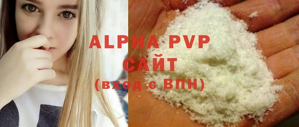 амф Гусев