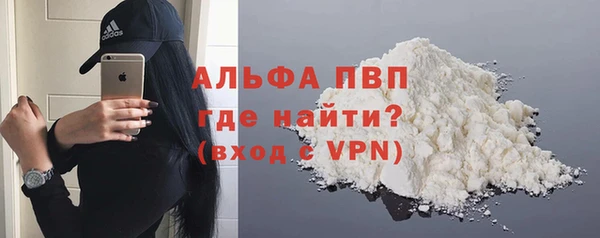 амф Гусев