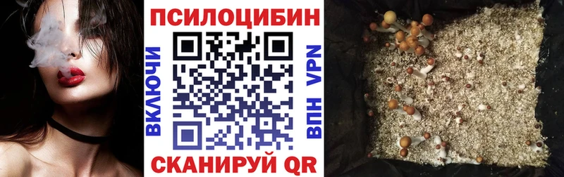 Псилоцибиновые грибы мицелий  Купить закладки  Кирс 